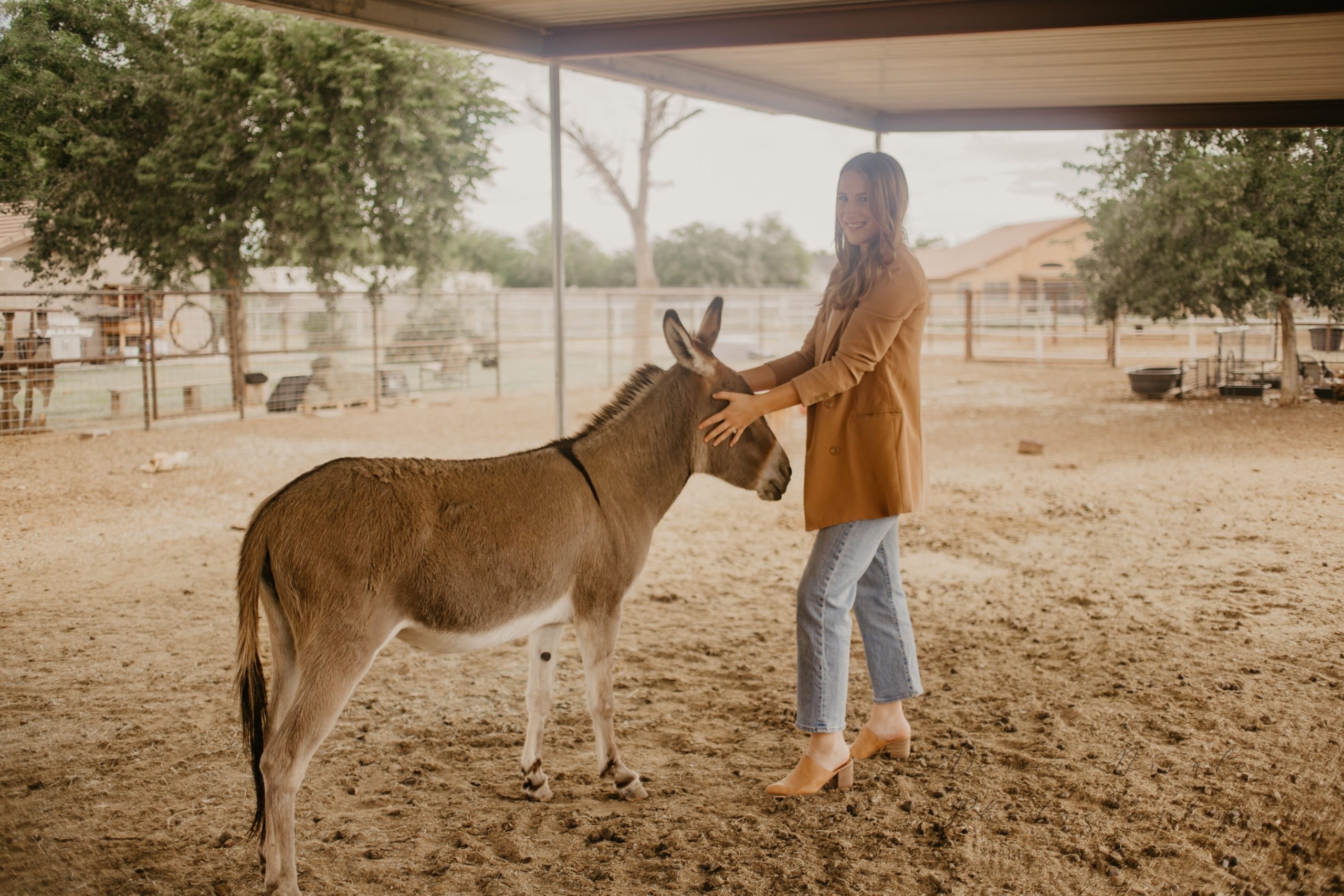 Arizona horse property buyer consultation with Michelle Shelton